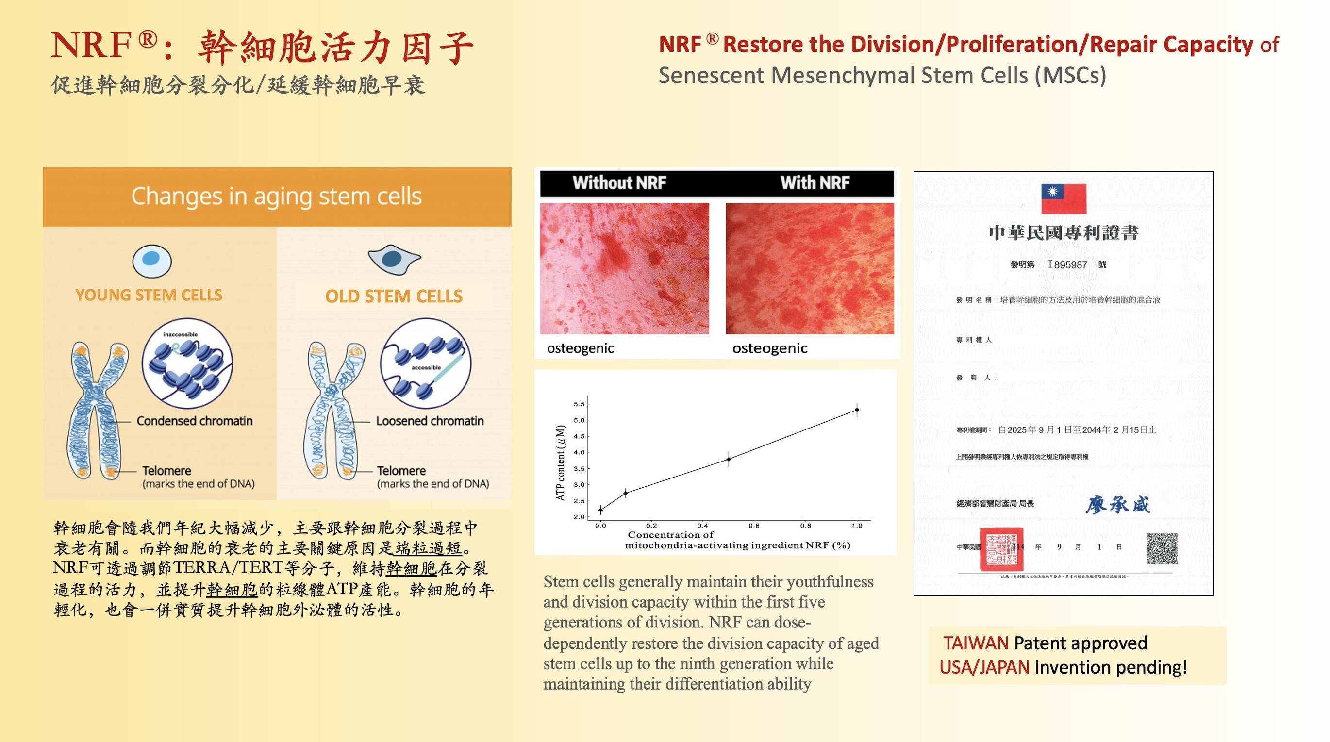 幹細胞應用技術