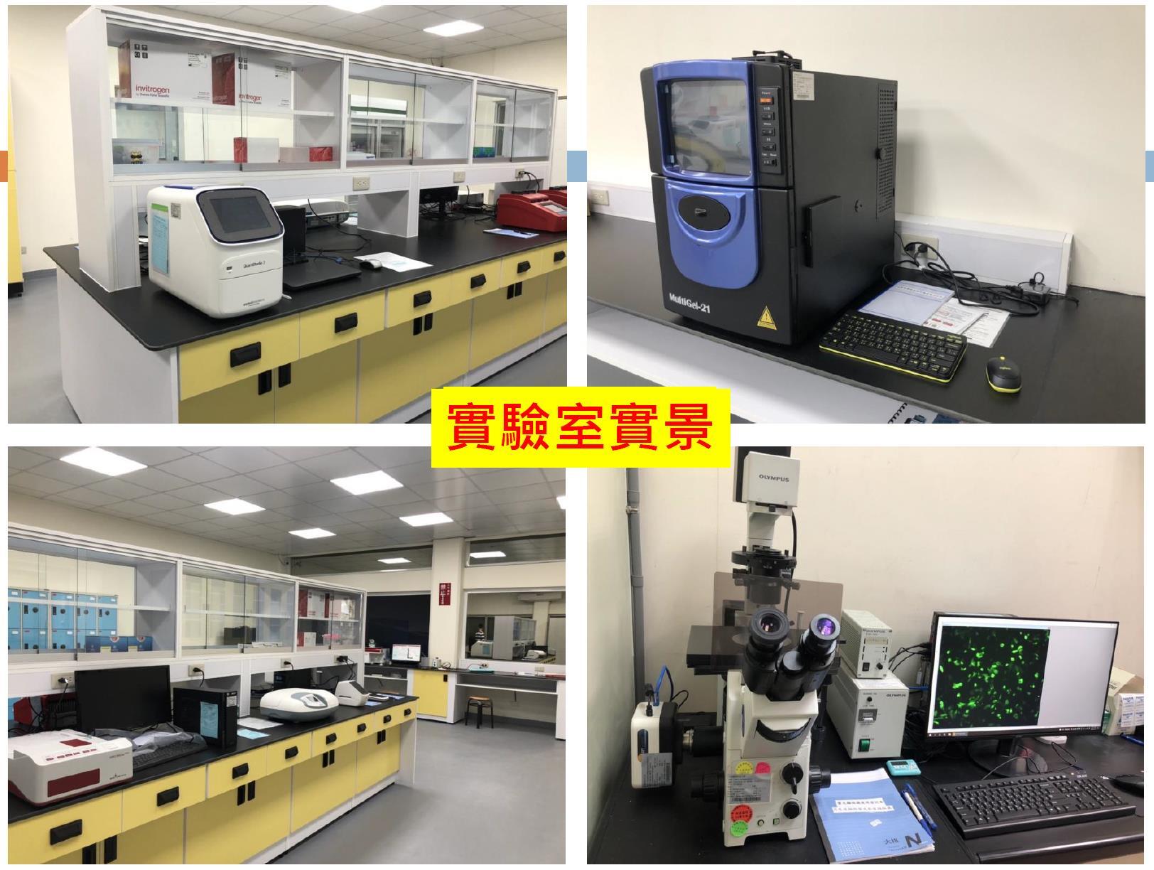 醫技系-精準醫學實驗室