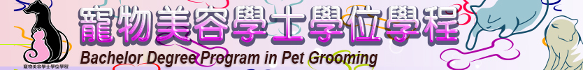 寵美